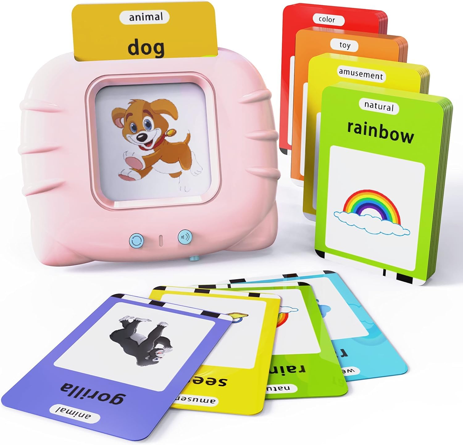 Educational Flash Card Set