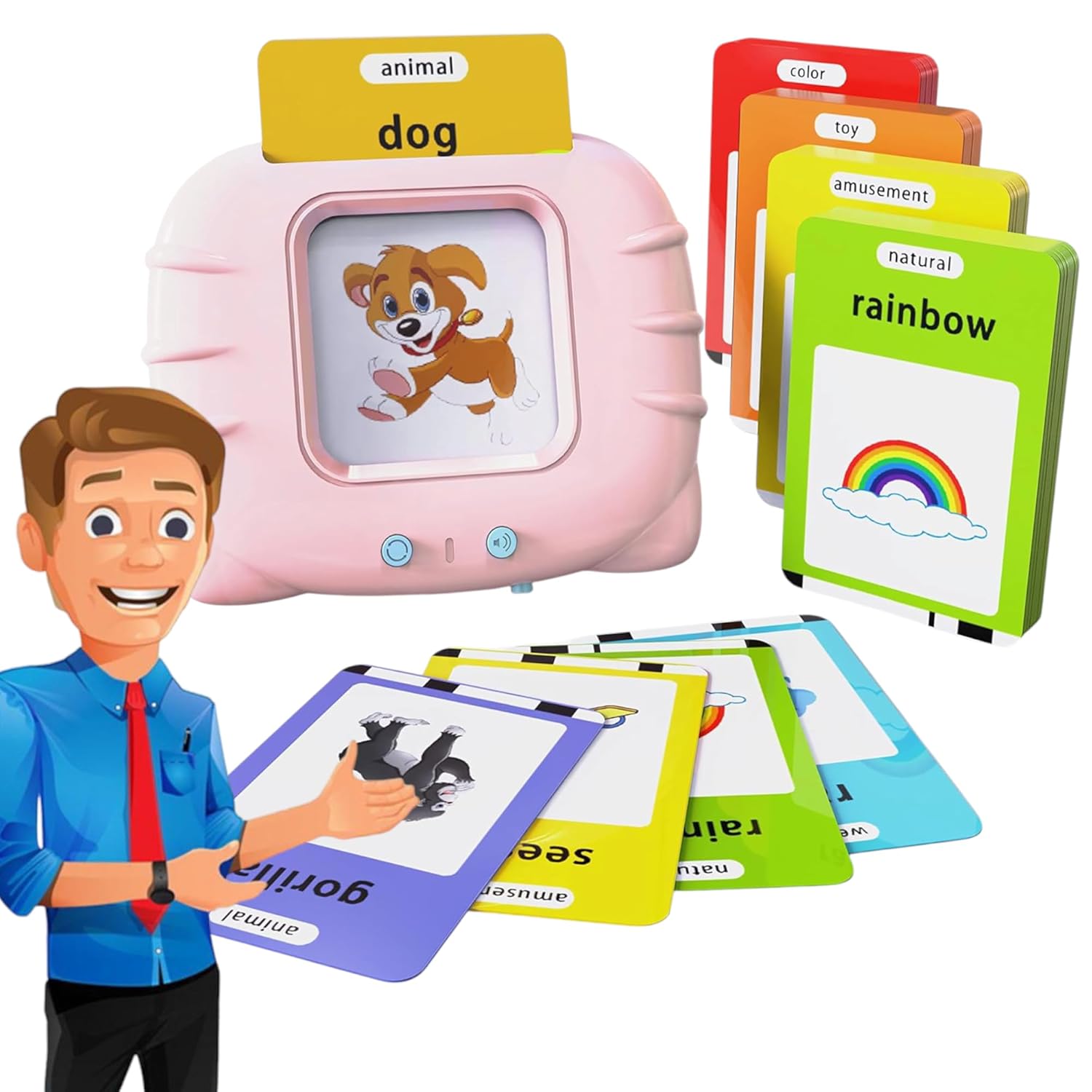 Educational Flash Card Set